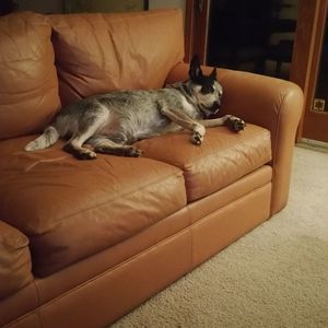 Meet your Posher, Tim